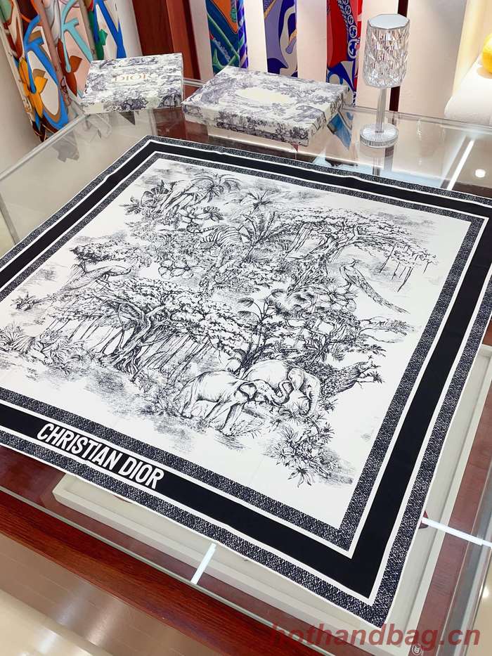Dior Scarf DIC00172 Dior Scarf DIC00172