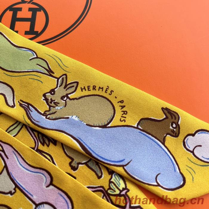 Hermes Scarf HEC00567 Hermes Scarf HEC00567