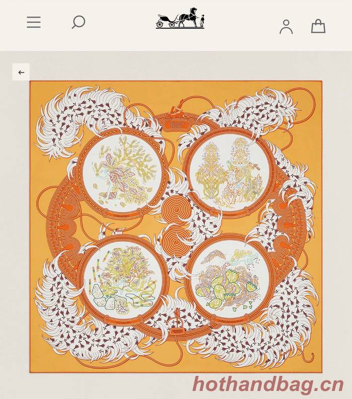 Hermes Scarf HEC00735 Hermes Scarf HEC00735