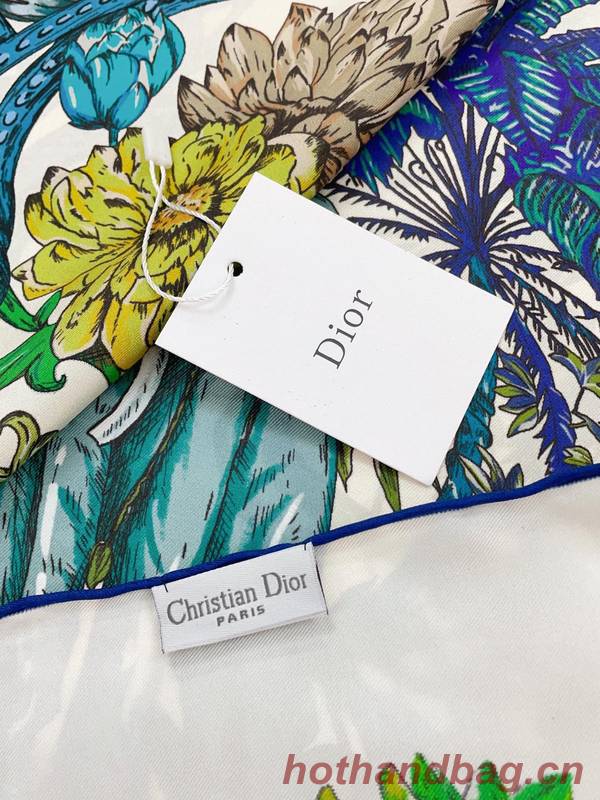 Dior Scarf DIC00256 Dior Scarf DIC00256