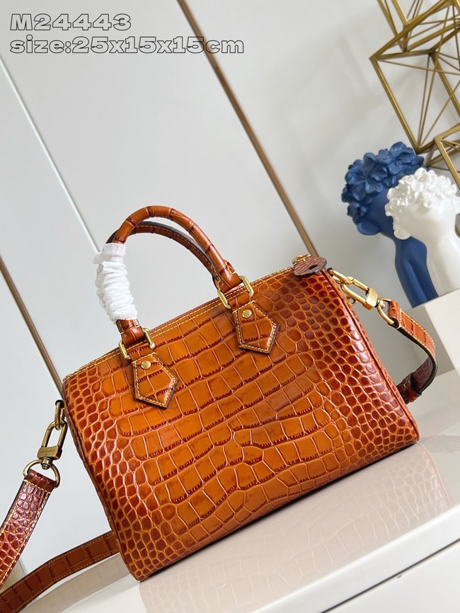 Louis Vuitton Speedy M24443 black