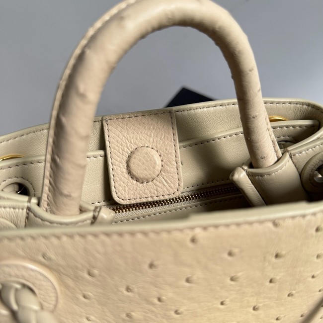 Bottega Veneta Mini Andiamo Sapele 805232 Brass finish