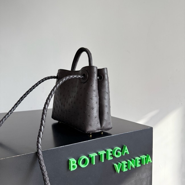 Bottega Veneta Mini Andiamo Sapele 805232 Fondant