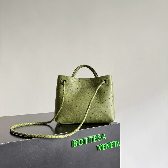 Bottega Veneta Small Andiamo 805231 Mud