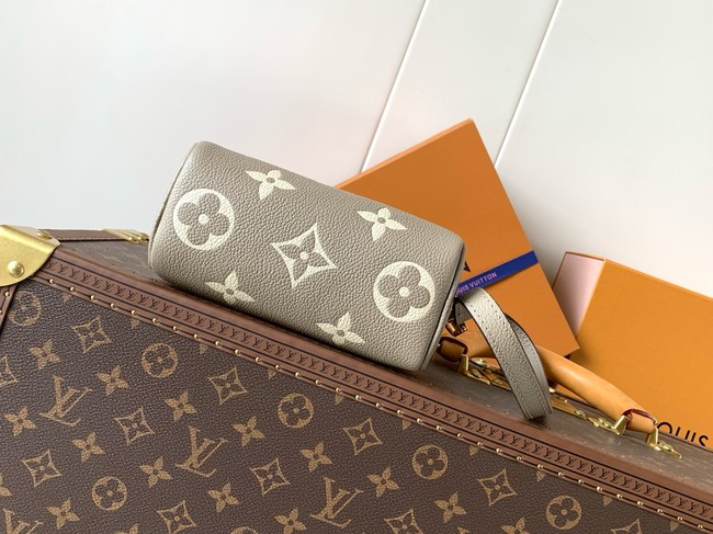 Louis Vuitton Nano Speedy M82450 gray