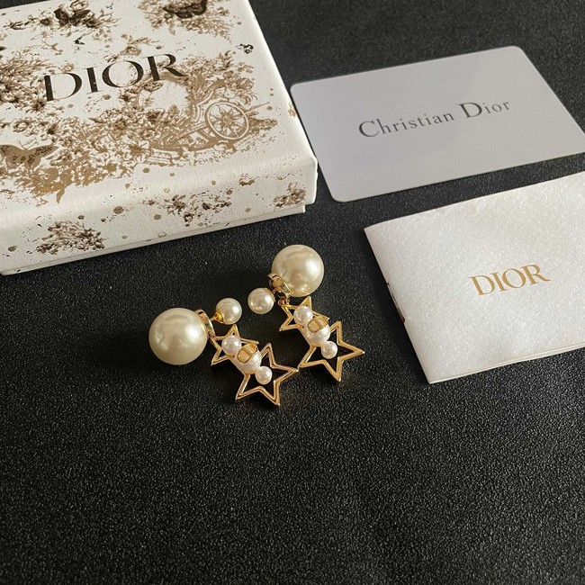 Dior Earring CE81959