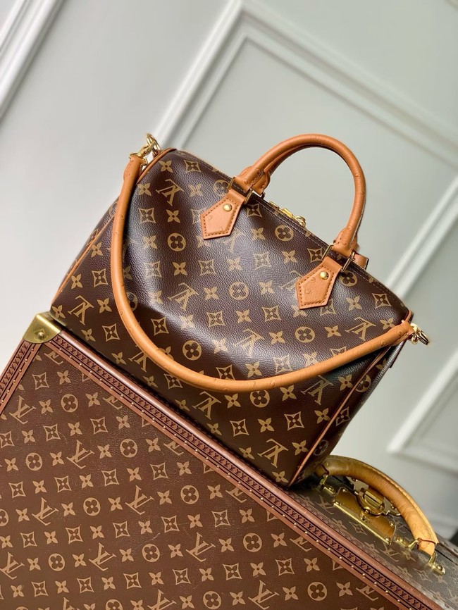 Louis Vuitton Speedy Soft 30 Boho N87212